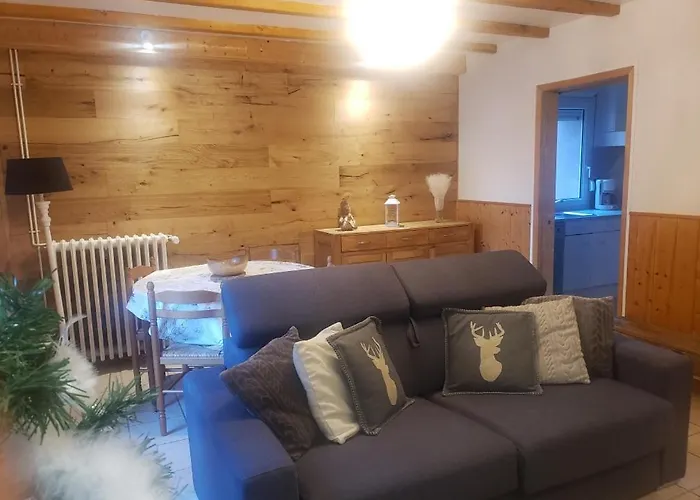 Appartement 4 Personnes Tout Equipe Vosges.